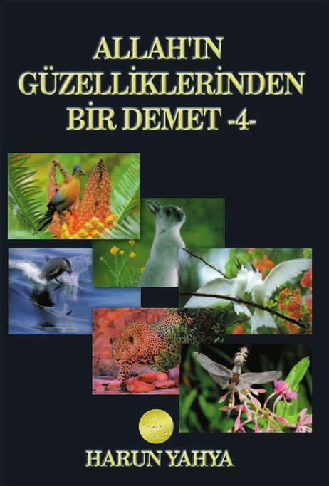 Allahın Güzelliklerinden Bir Demet - 4